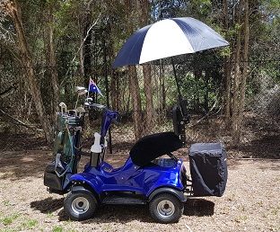 used im4 golf buggy